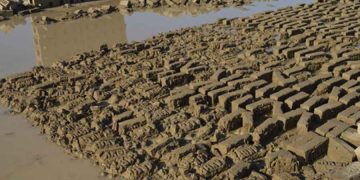 भक्तपुरमा वर्षाले ९ करोडको इँटा नष्ट