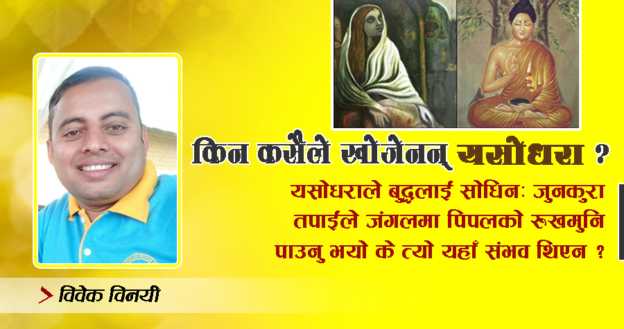 किन कसैले खोजेनन् यसोधरा ?