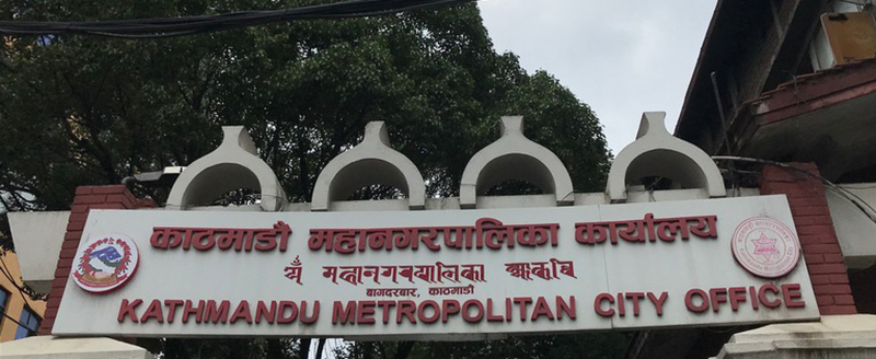 काठमाडौं महानगरले ६ महिना नि:शुल्क मिर्गौला परीक्षण गर्ने