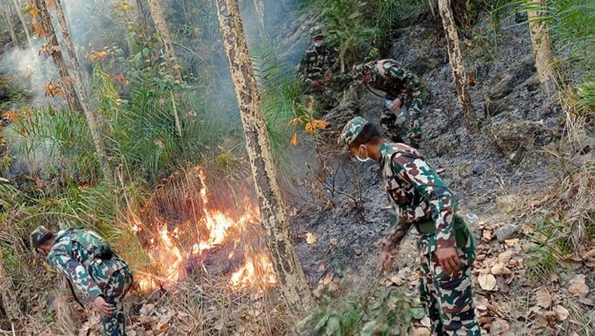 लुम्बिनी प्रदेशमा डढेलोमा परी दुई जनाको मृत्यु, प्रदेशभर ३६८ स्थानमा डढेलो