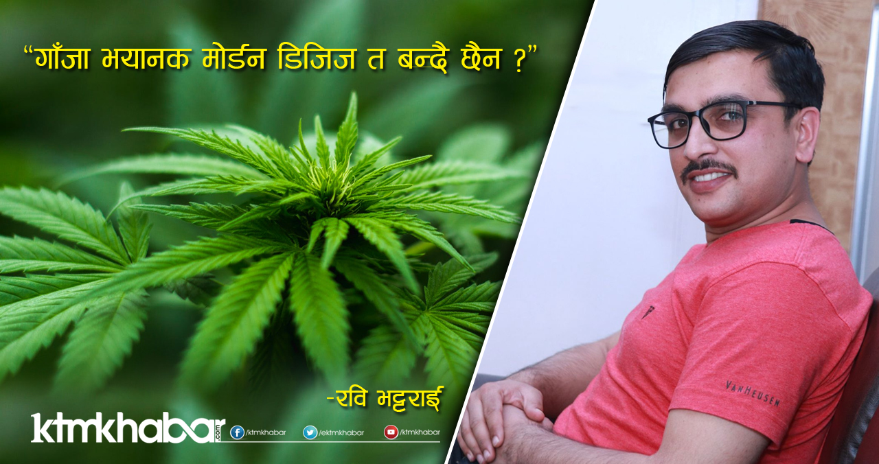 गाँजा भयानक मोडर्न डिजिज त बन्दै छैन ?