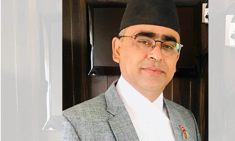 एमाले वागमती प्रदेशको मुख्य सचेतकमा निरौला