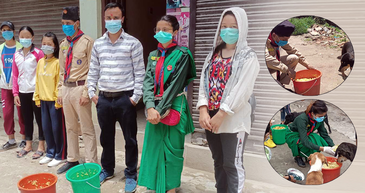 बन्द भयो ‘सडक कुकुर खाना’ अभियान
