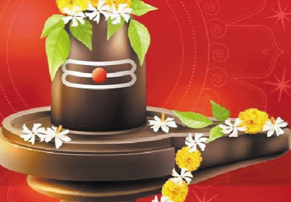 के हो शिवलिङ्ग् ? किन यसको पूजा गरिन्छ ?