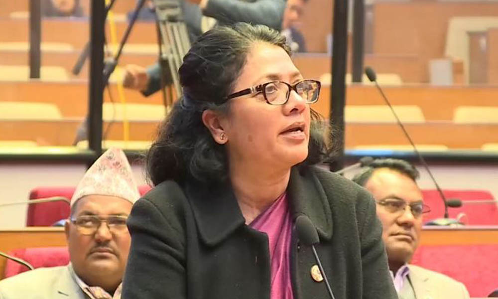 प्रधानमन्त्रीले संविधानले नचिन्ने संयन्त्रबाट हातखुट्टा बाँधिएर बस्नु हुँदैन : सांसद पौड्याल