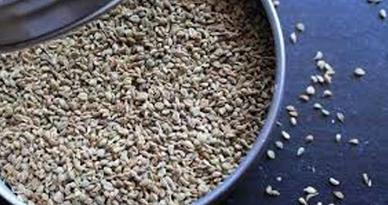 ज्वानो एक उपचार अनेक, यस्त सेवन गरौँ ज्वानो