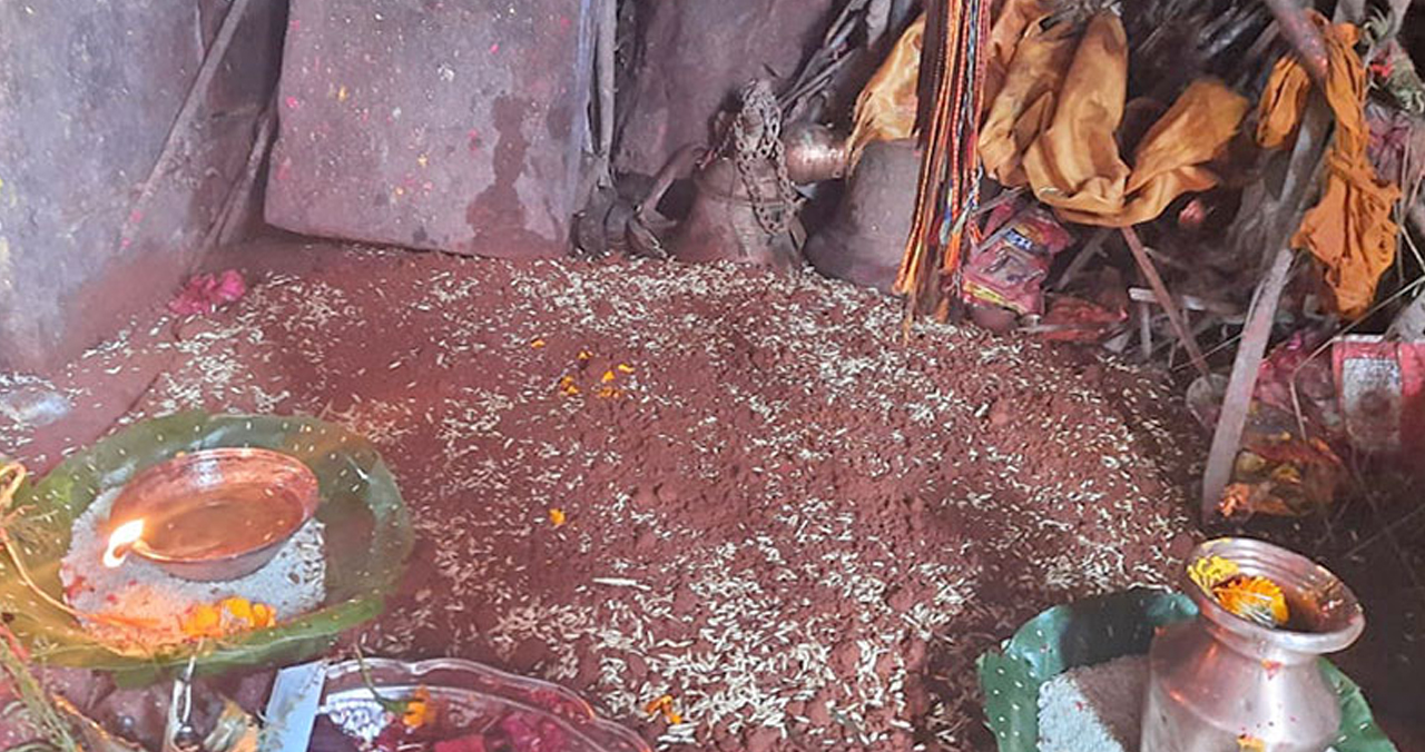 गोरखा दरवारमा राखियो दशैंको जमरा