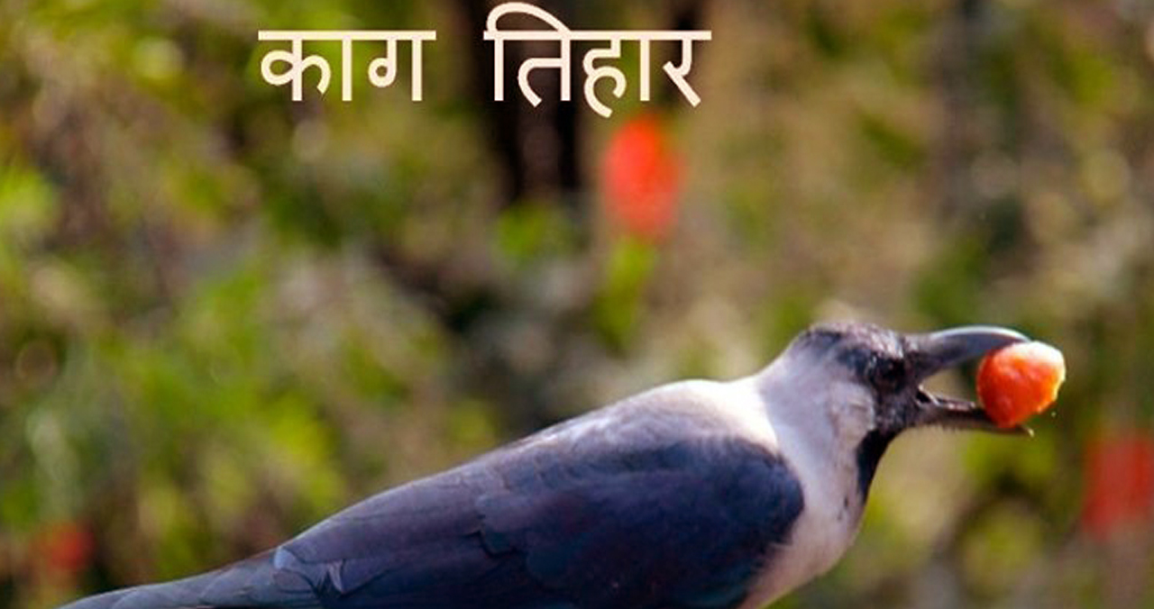 यमपञ्चक सुरू, आज काग तिहार..