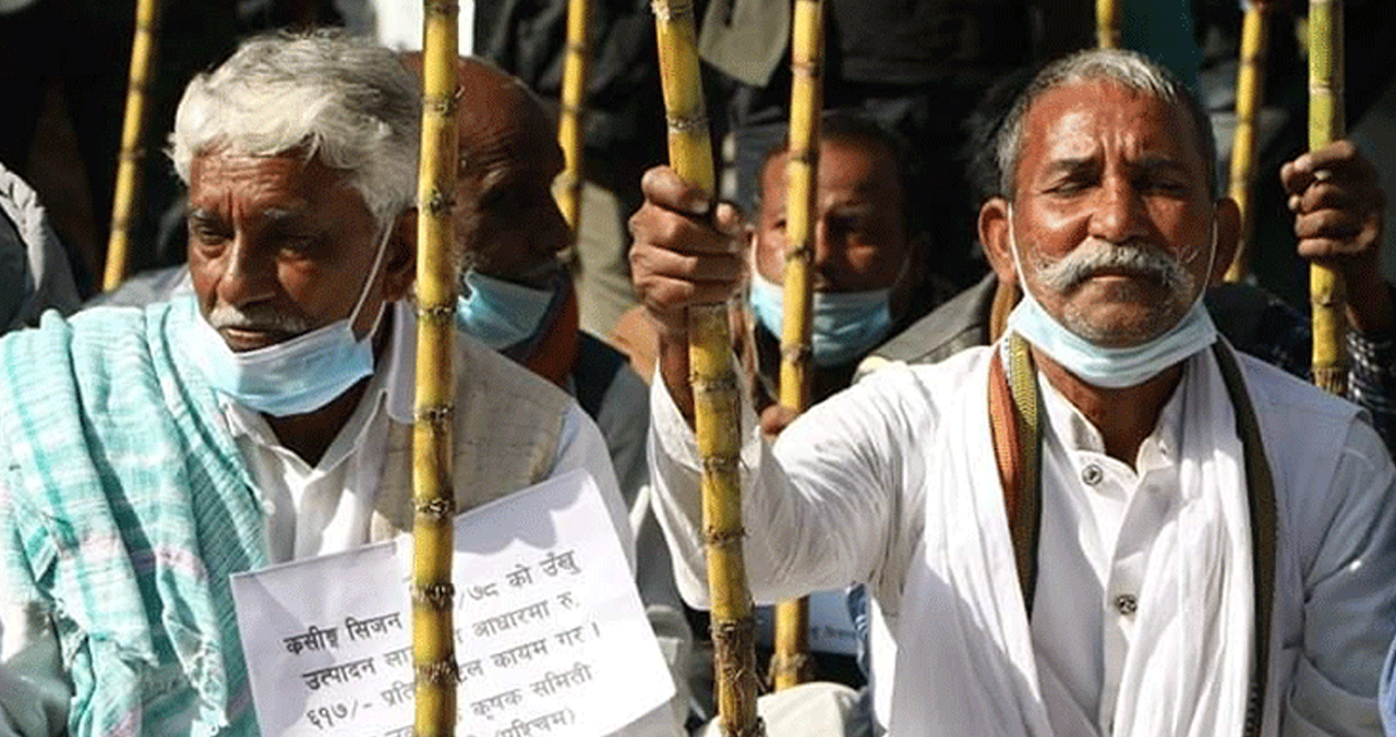 उखुको नयाँ मूल्यमा किसान असन्तुष्ट