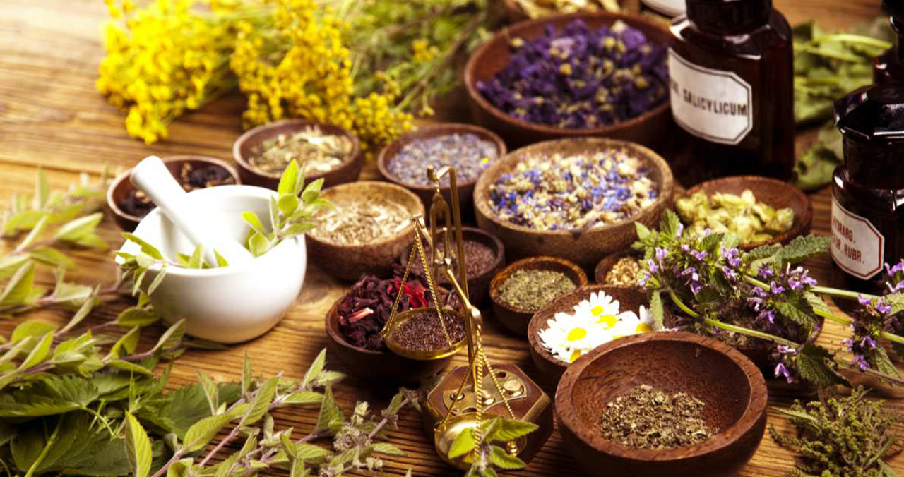 कुन झारपात कुन रोगका लागि उपयोगी हुन्छ  ?