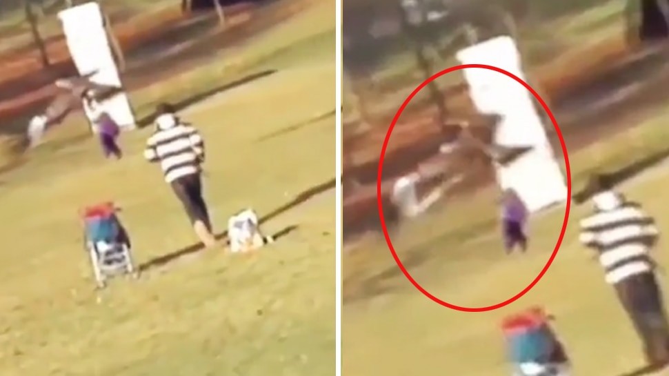 पार्कमा खेलिरहेको बच्चालाई बाजले लिएर उडेपछि… (भिडियो)